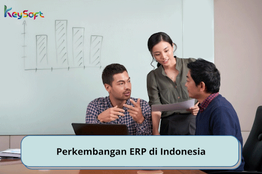 Perkembangan ERP di Indonesia